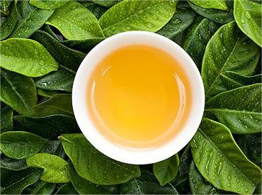 西湖龍井開(kāi)采還要再等等，頭茶產(chǎn)量可能會(huì)受影響